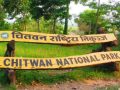 निकुञ्जका वन्यजन्तुलाई नहरको पानी