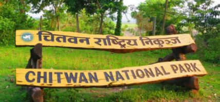 निकुञ्जका वन्यजन्तुलाई नहरको पानी