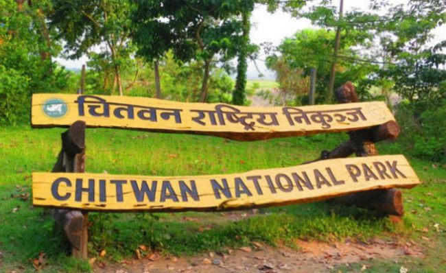 निकुञ्जका वन्यजन्तुलाई नहरको पानी