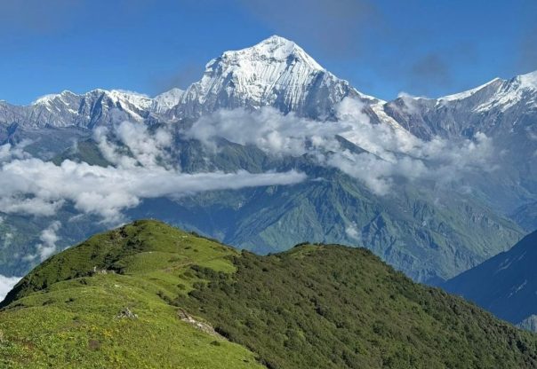 धौलागिरि हिमाल आरोहण वापत एक करोड ३४ लाख सलामी दस्तुर