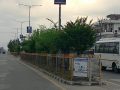 गुलमोहर र बेगमबेलीले सजिँदै नेपालगञ्ज