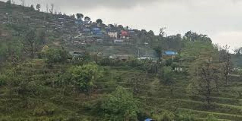 ‘भिलेज सफारी’मा सरर आउने होइन त ? लाहुरेको गाउँ रुम्सी हेर्न