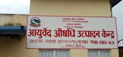 एघार प्रकारका औषधि उत्पादन गर्दै आयुर्वेद केन्द्र