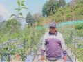 म्याग्दीको गाजनेमा व्यावसायिक स्याउखेती