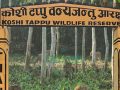 पर्यटक पुगे कोशी टप्पु पर्यटक पुगे कोशी टप्पु