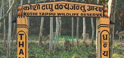 पर्यटक पुगे कोशी टप्पु