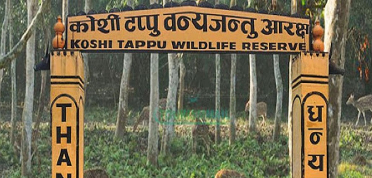 पर्यटक पुगे कोशी टप्पु