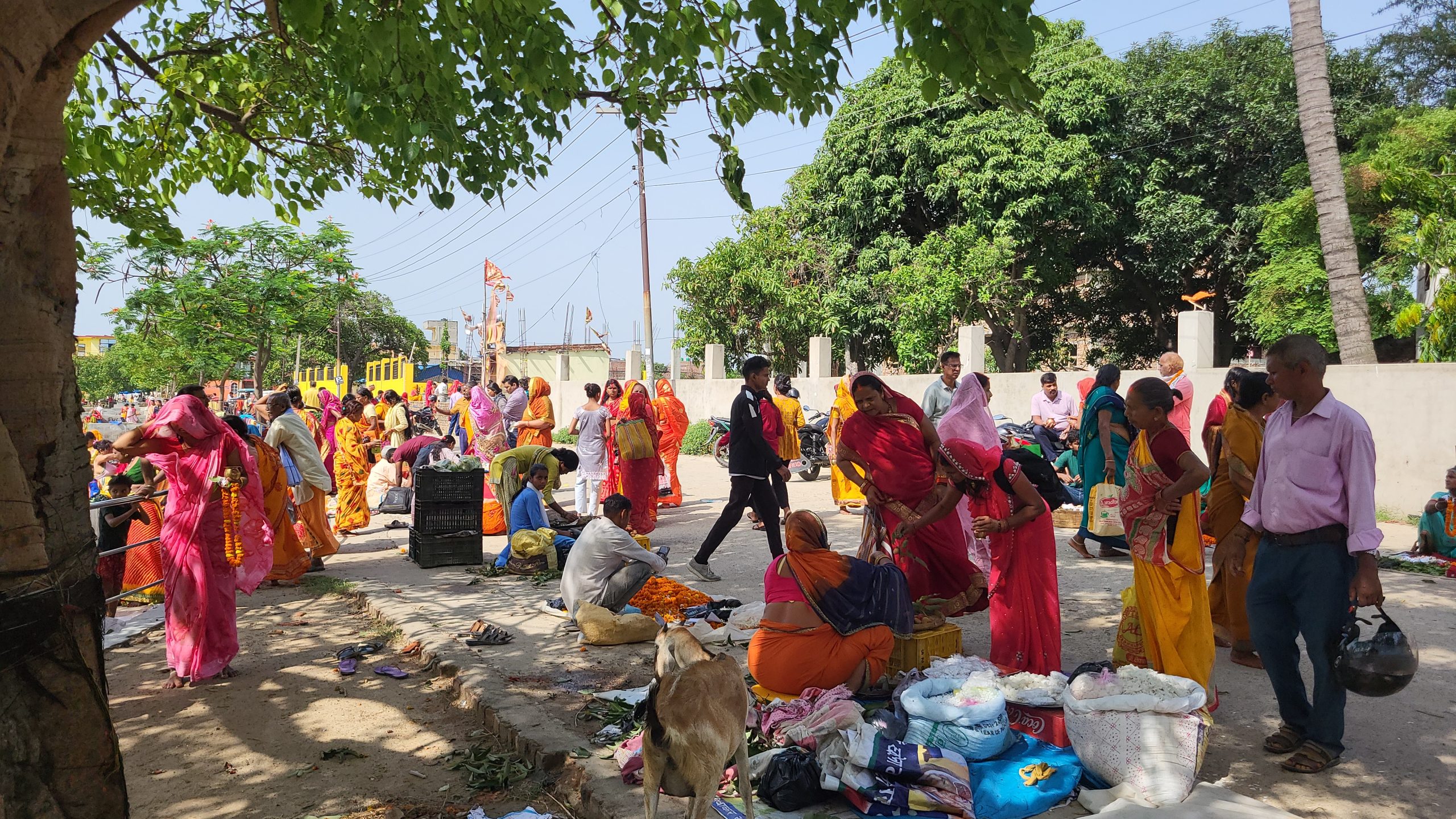 गंगादशहरा पर्व मनाइँदै, यस्तो छ धार्मिक महत्व