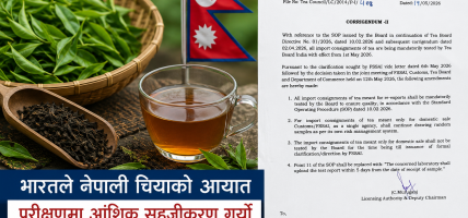 भारतले नेपाली चियाको आयात परीक्षणमा आंशिक सहजीकरण गर्यो