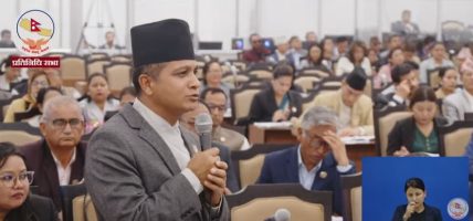 नयाँ संसद भवन सभाहलभन्दा फिल्म हलजस्तो भयो : ऐन महर