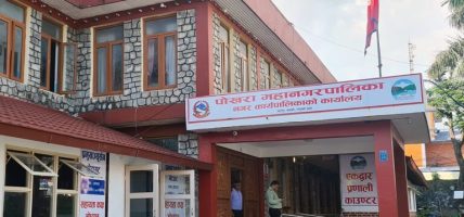 सिप्लिकान र चिउरीका बिरुवा अनुदानमा वितरण गर्दै महानगर