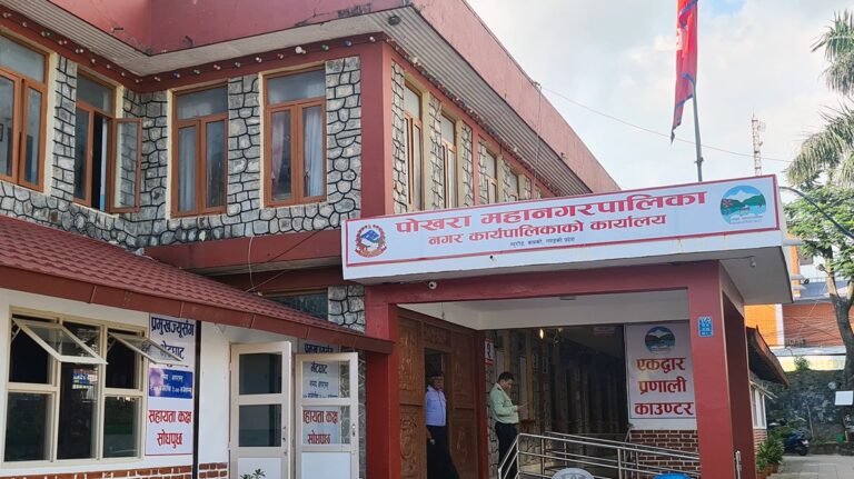 सिप्लिकान र चिउरीका बिरुवा अनुदानमा वितरण गर्दै महानगर