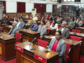 राष्ट्रियसभा बैठक बस्दै राष्ट्रियसभा बैठक बस्दै