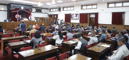 आगलागी, सर्पदंश र किसानका समस्या समाधान गर्न सरकारको ध्यानाकर्षण
