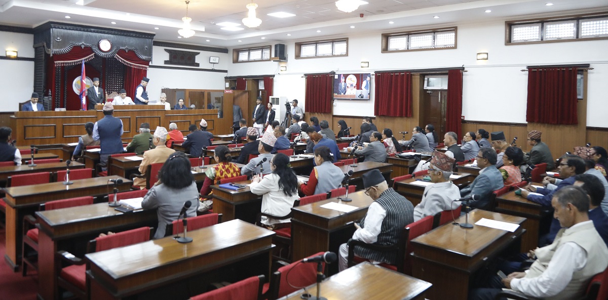 प्रतिनिधिसभा बैठक १५ मिनेटका लागि स्थगित