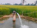 पन्ध्र लाख ९० हजार हेक्टरमा पुग्यो सिँचाइ सुविधा पन्ध्र लाख ९० हजार हेक्टरमा पुग्यो सिँचाइ सुविधा