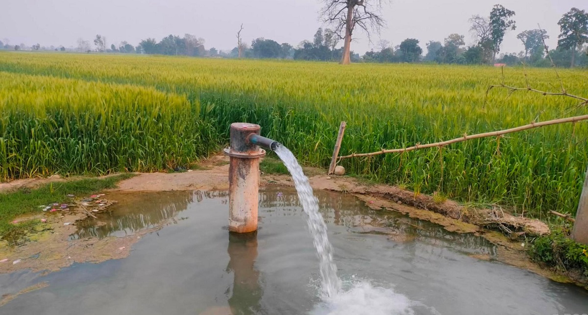 पन्ध्र लाख ९० हजार हेक्टरमा पुग्यो सिँचाइ सुविधा