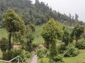 सोलेडाँडामा ‘जडीबुटी पार्क’ निर्माण