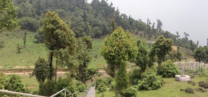 सोलेडाँडामा ‘जडीबुटी पार्क’ निर्माण