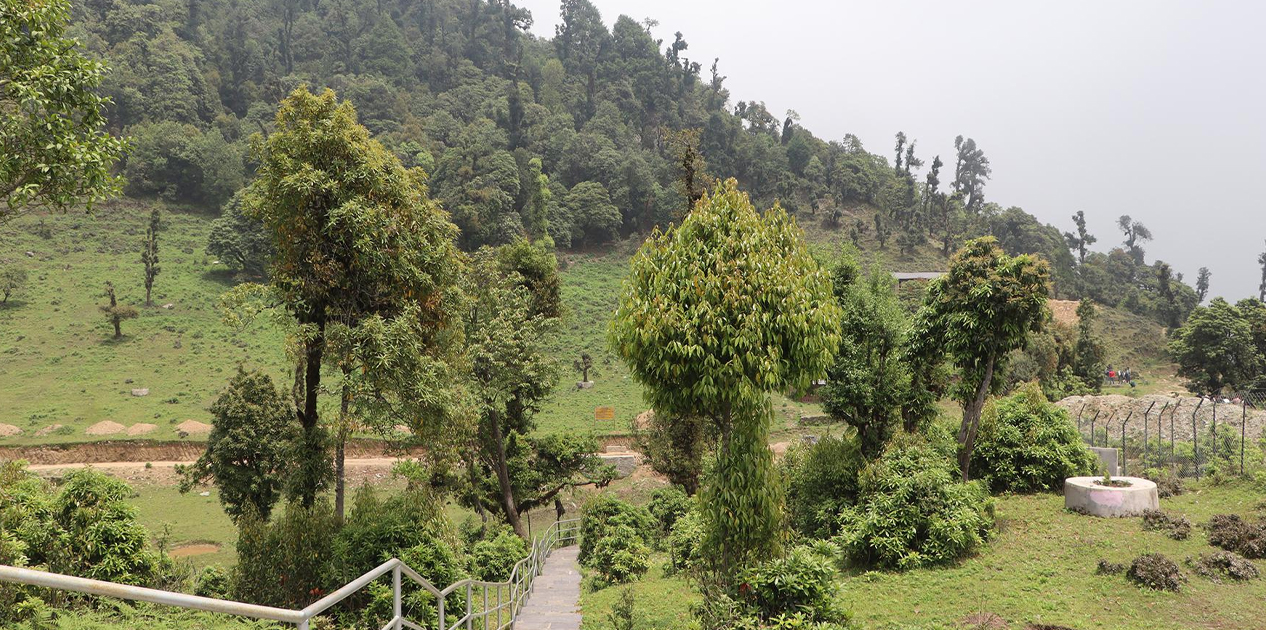 सोलेडाँडामा ‘जडीबुटी पार्क’ निर्माण