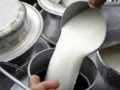 चितवनमा दूध बिक्री सहज, भुक्तानीमा समस्या