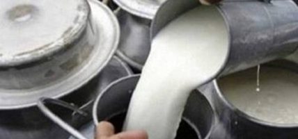 चितवनमा दूध बिक्री सहज, भुक्तानीमा समस्या