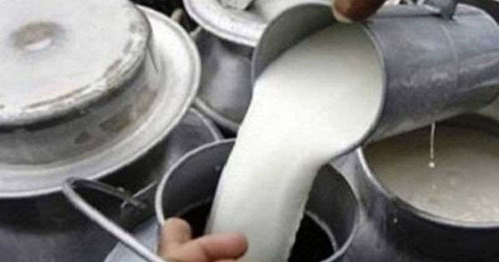 चितवनमा दूध बिक्री सहज, भुक्तानीमा समस्या