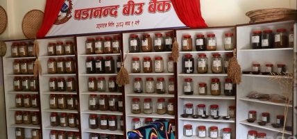 बीउ बैंकमार्फत रैथाने बाली संरक्षणमा जुट्दै षडानन्द नगरपालिका