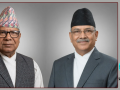 शक्तिशाली सरकारसामु निरीह प्रतिपक्ष शक्तिशाली सरकारसामु निरीह प्रतिपक्ष
