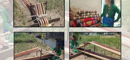 संकटमा राडीपाखी व्यवसायः लोप हुँदै गएको सीप जोगाउन विउमतिको संघर्ष