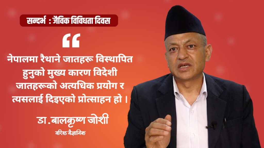 नेपाली भान्सा र किसानका खेतबारीमा ९५ प्रतिशतसम्म परनिर्भरता देखिएको छ : डा.बालकृष्ण जोशी (भिडियो सहित)