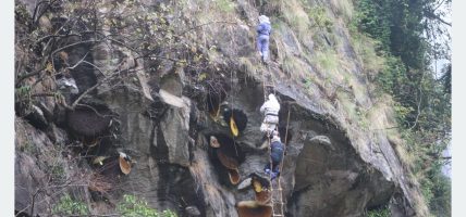 मह काढ्ने परम्परालाई जीवन्त राख्न पुस्ता हस्तान्तरण