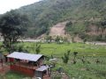 कुलो पुनर्निर्माण नहुँदा चार वर्षदेखि बाँझै छ माझीटार