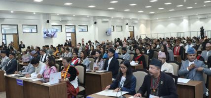 प्रतिनिधिसभा बैठकः मन्त्रालय र निकायका विभिन्न शीर्षकमाथि छलफल
