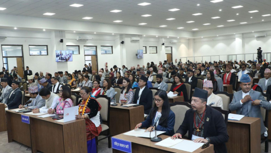 प्रतिनिधिसभा बैठकः मन्त्रालय र निकायका विभिन्न शीर्षकमाथि छलफल