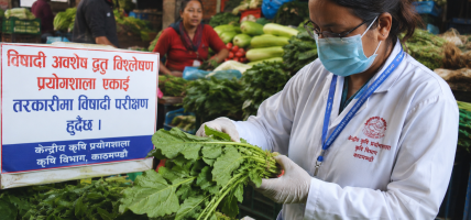 रायोको सागमा भेटियो उच्च विषादी, नष्ट गर्न निर्देशन