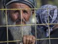दुई हप्तामा इरान, पाकिस्तानबाट ८५ हजार भन्दा बढी अफगानी स्वदेश फिर्ता ः राष्ट्रसङ्घ दुई हप्तामा इरान, पाकिस्तानबाट ८५ हजार भन्दा बढी अफगानी स्वदेश फिर्ता ः राष्ट्रसङ्घ