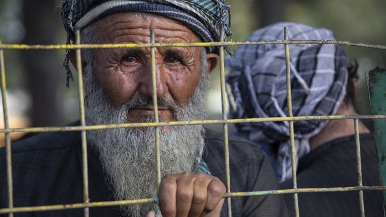 दुई हप्तामा इरान, पाकिस्तानबाट ८५ हजार भन्दा बढी अफगानी स्वदेश फिर्ता : राष्ट्रसङ्घ