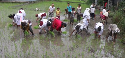 जलवायुमैत्री प्रविधिबाट धानमा आत्मनिर्भर बन्ने लक्ष्यसहित २३औँ राष्ट्रिय धान दिवस मनाइँदै