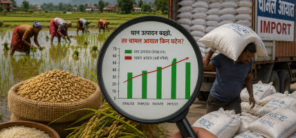 कागजी तथ्यांकमा धानको ‘रेकर्ड’ उत्पादन : आत्मनिर्भरता कि आयातको आवरणमा अन्य खेल ?
