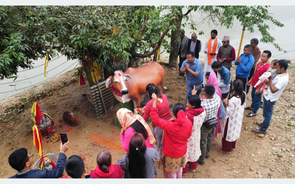 पञ्चकन्या मन्दिरमा गौ माता शिलामूर्ति अनावरण