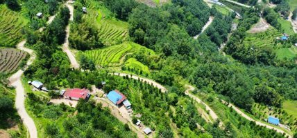 सिरदली–चौडेनी सडक स्तरोन्नति