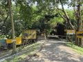 कोशी टप्पुमा पर्यटनको बढ्दो सम्भावना