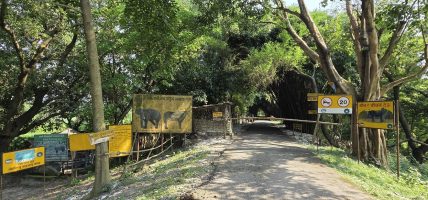 कोशी टप्पुमा पर्यटनको बढ्दो सम्भावना