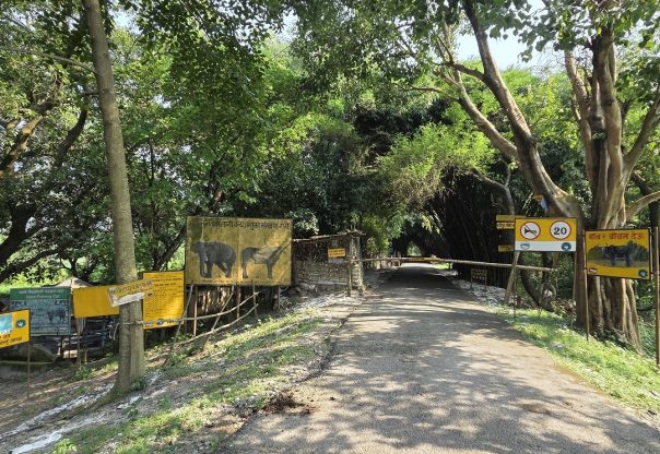 कोशी टप्पुमा पर्यटनको बढ्दो सम्भावना