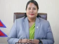 कृषिमन्त्री चौधरीको पहलमा अनुदानबारे छानबिन हुने कृषिमन्त्री चौधरीको पहलमा अनुदानबारे छानबिन हुने