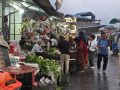 गर्मी छल्न भेडेटार आउने पर्यटकको कोसेली ‘अर्ग्यानिक तरकारी’