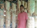 च्याउखेतीबाट रोजगारी दिन र मनग्य आम्दानी लिन सफल मङ्गल