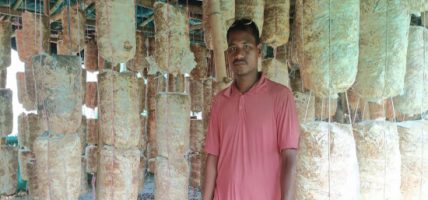 च्याउखेतीबाट रोजगारी दिन र मनग्य आम्दानी लिन सफल मङ्गल