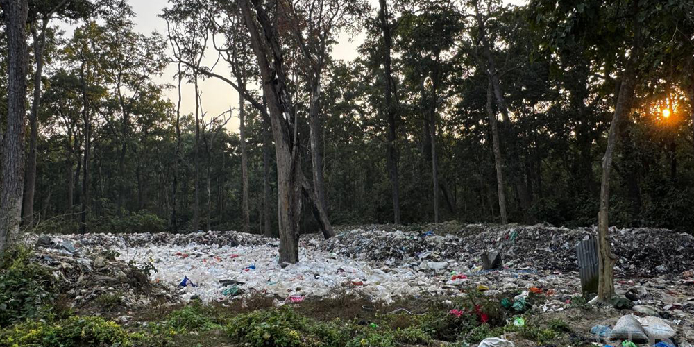 आलेखः जैविक विविधतामाथि बढ्दो खतरा